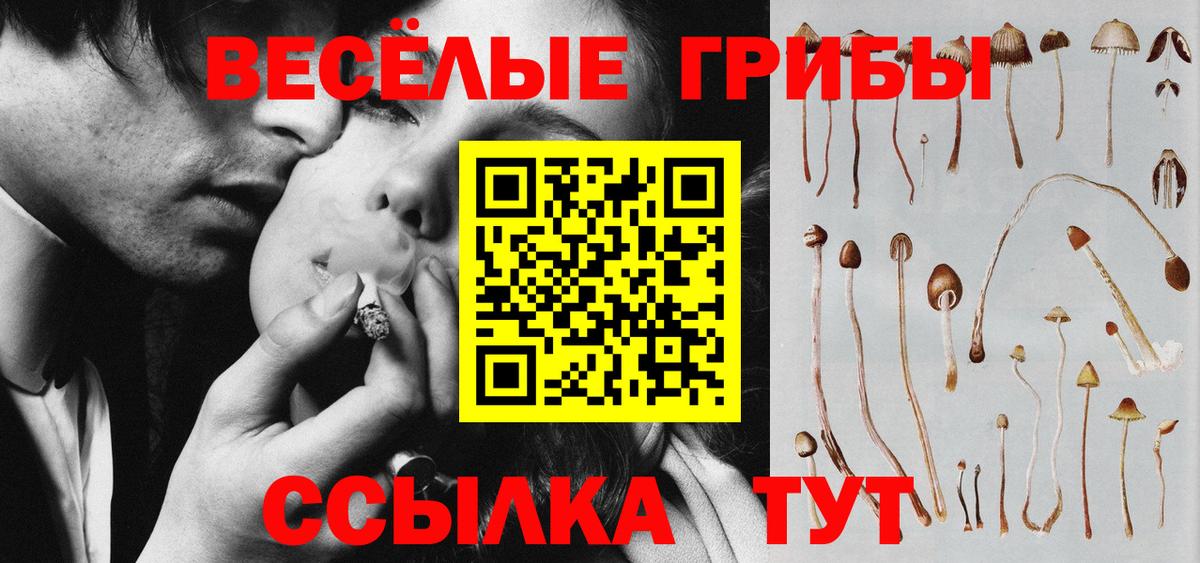 Псилоцибиновые грибы прущие грибы  Вход с VPN  Торжок 