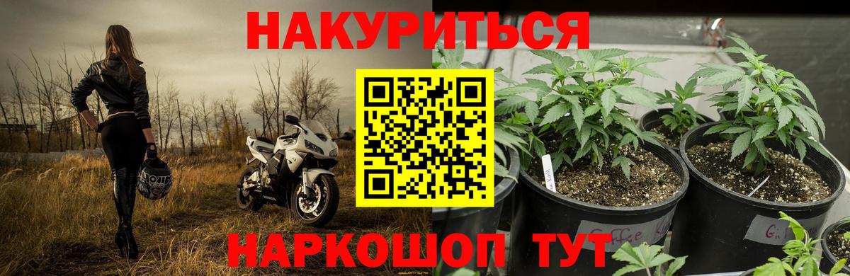 Торжок  Конопля индика  Марихуана гибрид  Вход с VPN  Конопля тримм  Конопля тримм 
